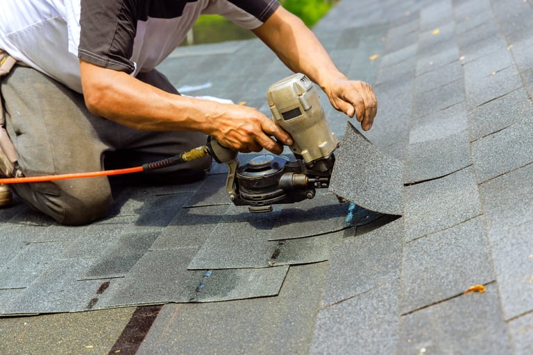 Professional roof repair and maintenance